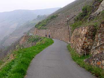 Blick &uuml;ber Mandelstein