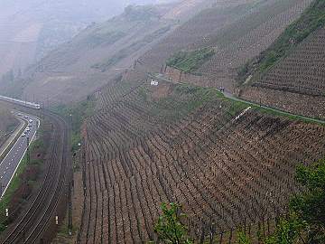 Blick auf Feuerlay und Mandelstein