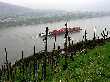 Blick auf den Rhein