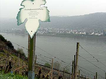 Tafel Drahtrahmenerziehung