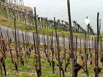 Verschiedene Erziehungsmethoden