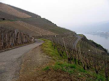 Blick Richtung Ohlenberg