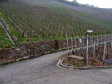 Gabelung Frankenweg - Grillowweg