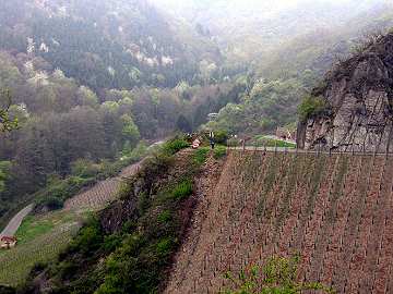 Blick auf Weingrube