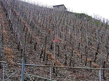 H&uuml;tte Mandelstein