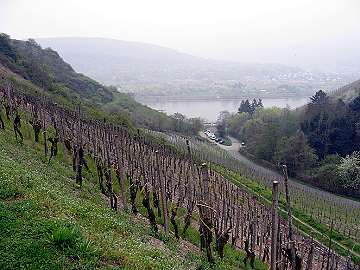 Weingrube am Ende des Lehrpfads