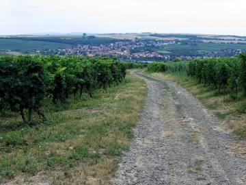 Blick auf Gundersheim