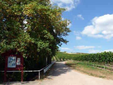 Startpunkt Infotafel