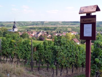 Rebsortentafel Kerner