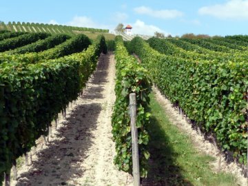 Blick zur&uuml;ck zum wei&szlig;en Turm